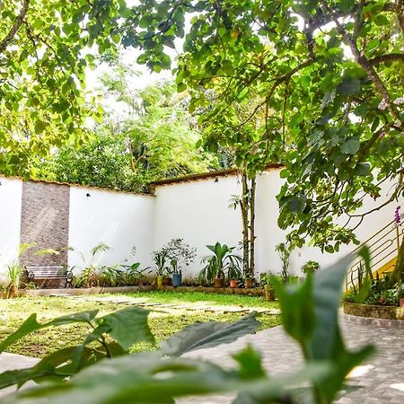 Green House Tarapoto Buitenkant foto