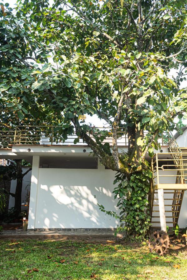 Green House Tarapoto Buitenkant foto